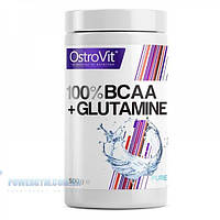 BCAA + GLUTAMINE 500гр