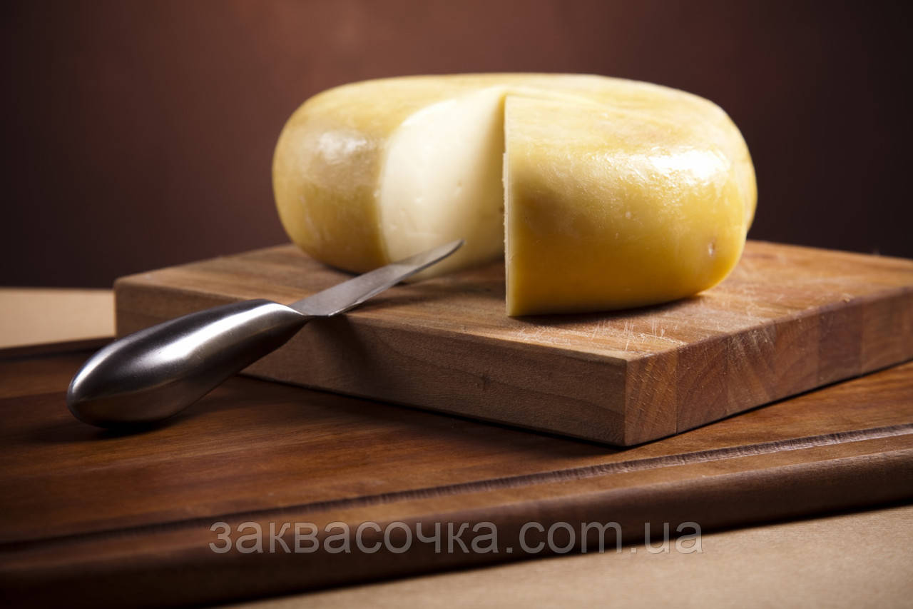 Закваска для ТВЕРДИХ сирів на 1000-2000 л молока, фото 1