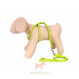 Шлея кругла Glamour No1, з повідцем для котів і дрібних собак, фото 2