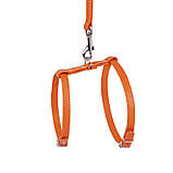 Collar Шлея з повідцем для собак малих порід, фото 3