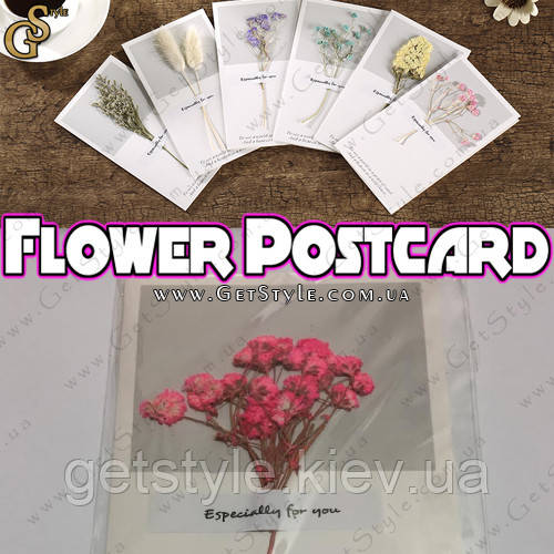 Листівка-гербарій - "Flower Postcard" - 16 х 9 см