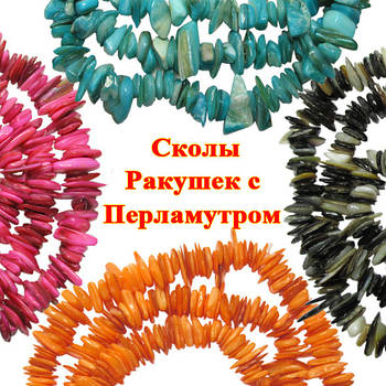 Відколи Черепашок з Перламутром. Код 6348 № 01-10