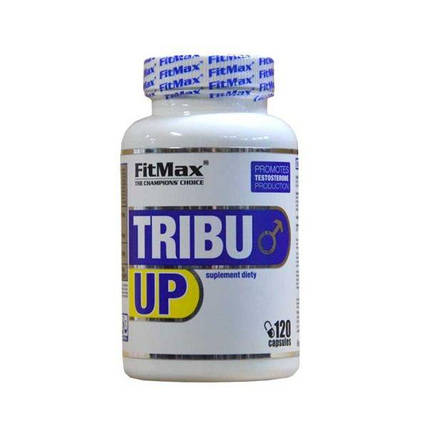 Бустер тестостерону Fit Max Tribu Up 120 caps, фото 1