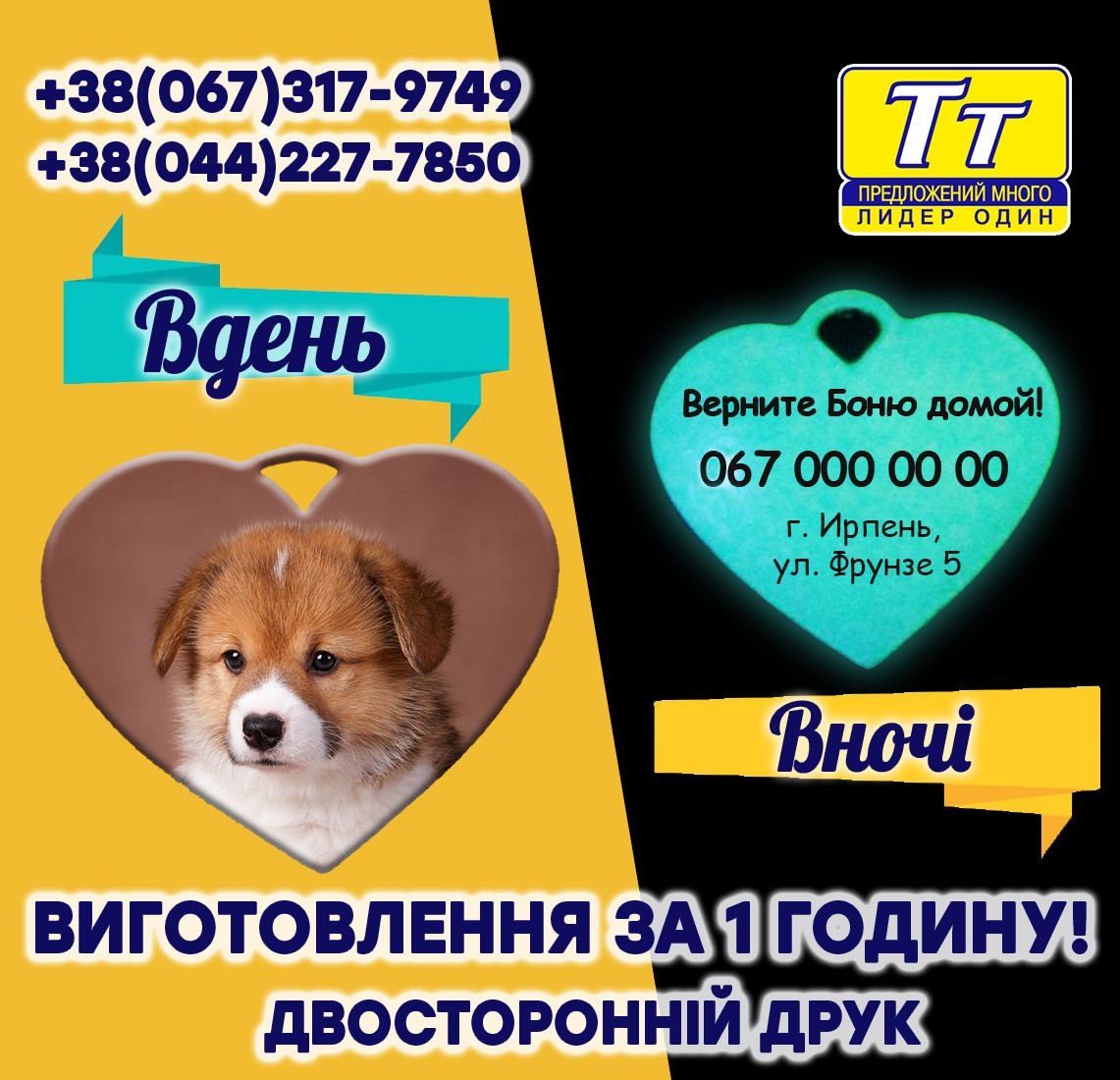 АДРЕСНИК ДЛЯ КІШОК І СОБАК СВІТИТЬСЯ ВНОЧІ В ТЕМРЯВІ ФІОЛЕТОВО-СИНІМ ВІДТІНКОМ З ФОТО ВАШОГО ВИХОВАНЦЯ (ВИГОТО