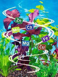 Листкове підживлення Сої Гороху Реаком Бобові. Позакореневе підживлення хелатними добривами за Бобовим Реаком.