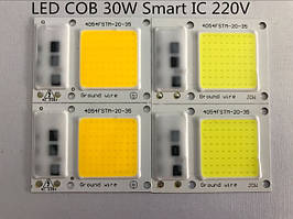 Smart IC (з драйвером - живлення 220 вольт)