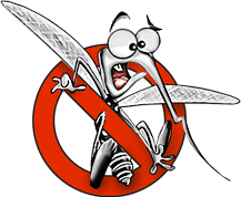 Послуги Дезінсекції