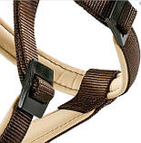 Шлейка DAYTONA P MEDIUM Ferplast Ферпласт для собак з нейлону, колір в асортименті, фото 2