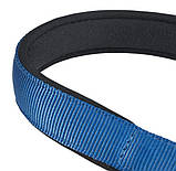 DAYTONA CSS20/50 BLUE нашийник з металевим ланцюжком для собак Ferplast, фото 3