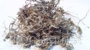 Сухоцвіт болотна трава 50 г.