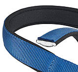 DAYTONA C40/69 BLUE нашийник для собак Ferplast, фото 4