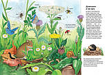 Тварини. Моя перша мальована енциклопедія, фото 3