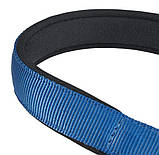 DAYTONA CSS25/65 BLUE нашийник з металевим ланцюжком для собак Ferplast, фото 3