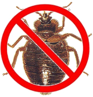 Виведення лопухів у гуртожитках із гарантією в Харкові