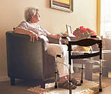 Ходунки-рамки з санітарним оснащенням, арт. KJT909BS, фото 7