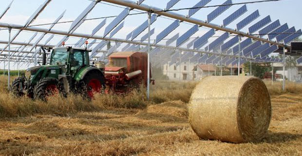 Агровольтаика як підвищити врожайність за допомогою сонячних панелей