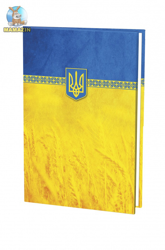 Папка А4 адресна "Economix" жовто-блакитна 94404 G-Rich, фото 1