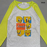 Реглан Курча Tweety для хлопчика. 140 см, фото 2