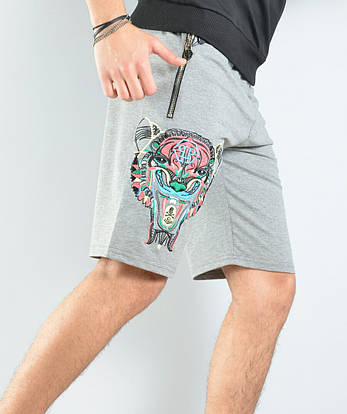 Шорти чоловічі спортивні трикотажні Philipp Plein, фото 1