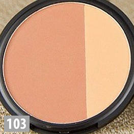 Пудра MINISTAR Компактна пудра для скульптурування обличчя Contour and Highlighter 103