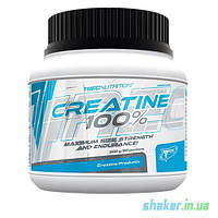 Креатин моногідрат TREC nutrition Creatine 100% (300 г) трек Нутришн unflavored