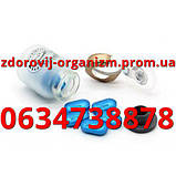 Купити "Золотий препарат" для чоловіків підвищує потенцію, посилюють статевий потяг і сексуальну витривалість, фото 2