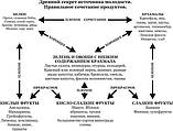 Правильне поєднання продуктів