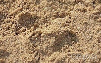 Песок овражный