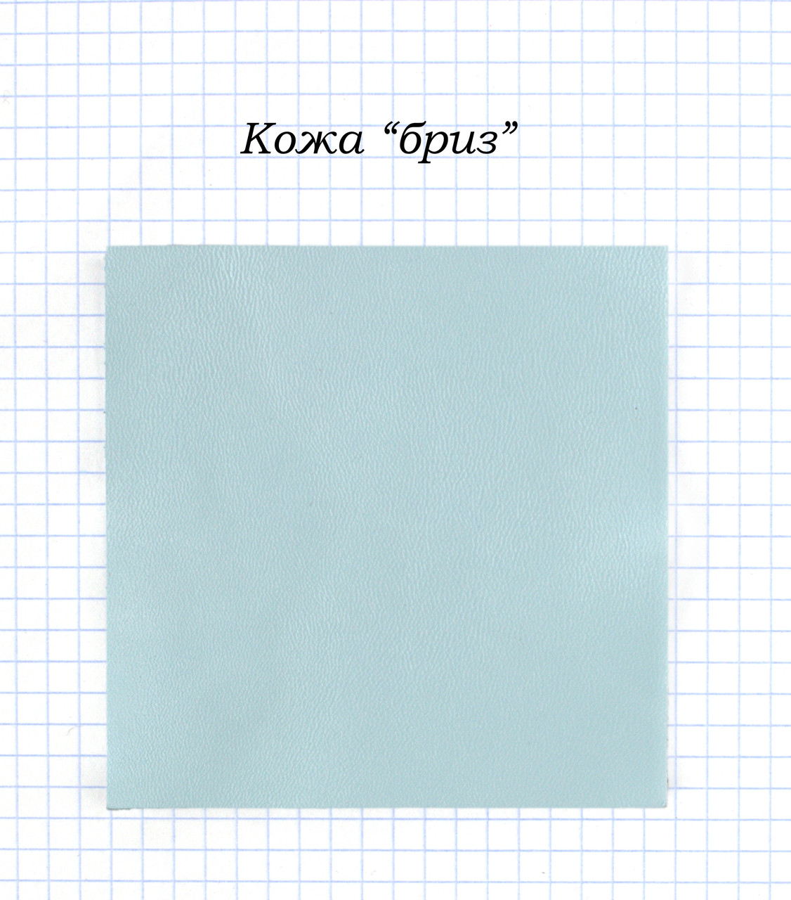 Шкіра "бриз", фото 1