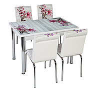 Раскладной стол обеденный кухонный комплект стол и стулья 3D 3д "Красный букет" стекло 70*110 Лотос-М Mobilgen