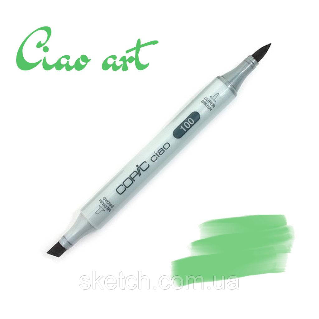  Copic маркер Ciao, #G-07 Nile green