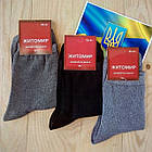 Шкарпетки жіночі демісезонні х/б Житомир 36-41р асорті середні НЖД-021003, фото 2