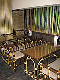 Меблі з бамбука.Перегородки, столи, крісла, фото 5