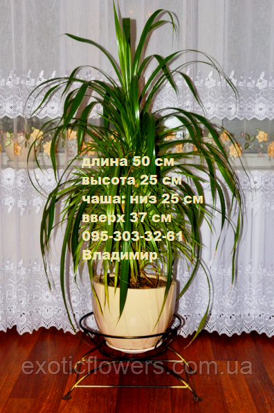 Підставка для квітів