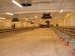 Опалення Пташника