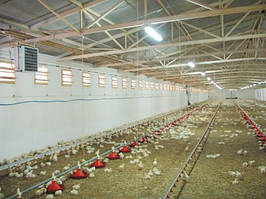 Опалення Пташника