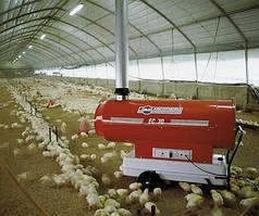 Опалення Пташника