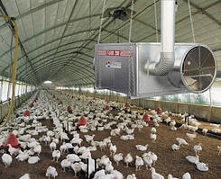 Опалення Пташника