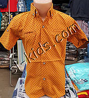 Стильна сорочка (шведка) для хлопчика 6-12 років (опт) (гірчиця) (пр. Туреччина)