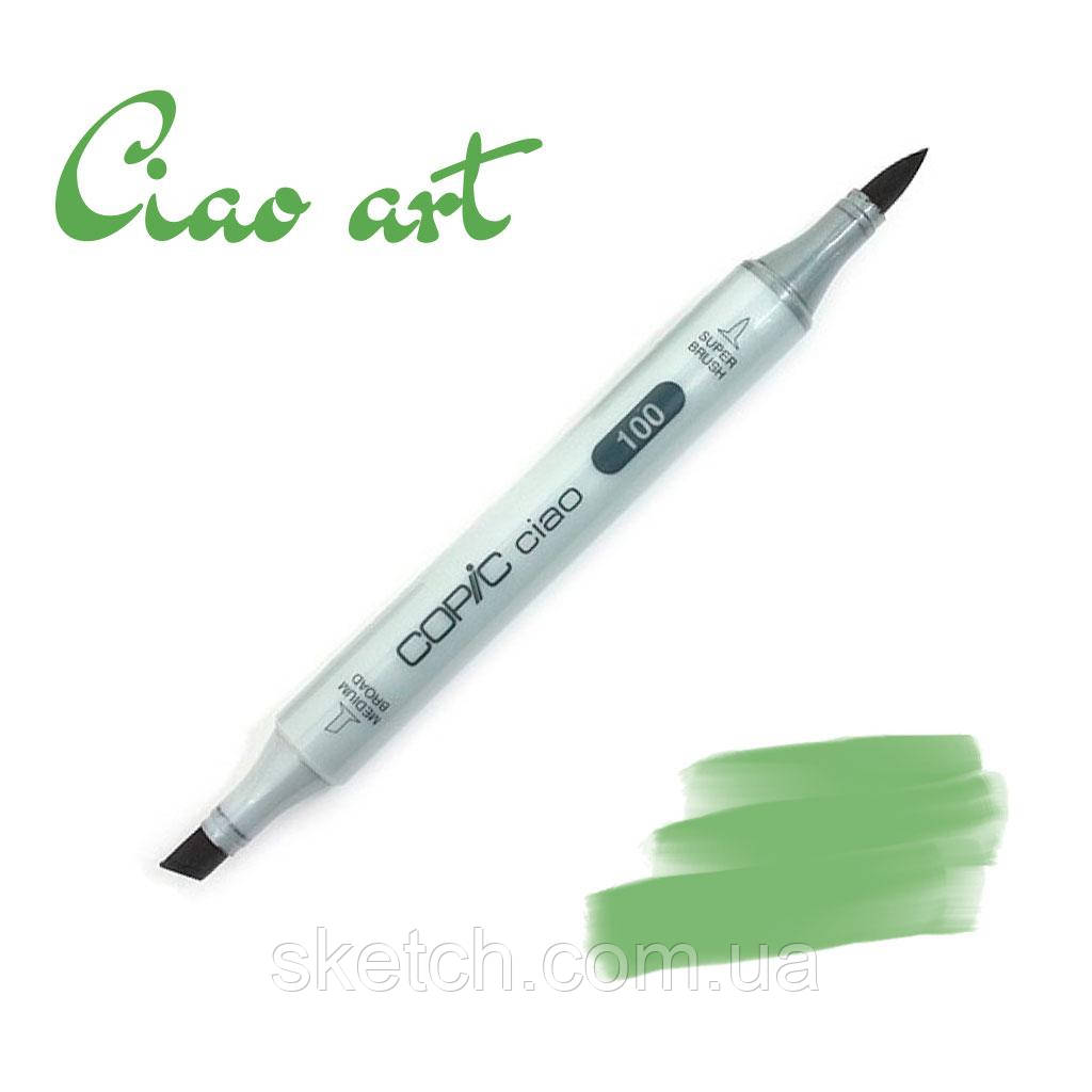  Copic маркер Ciao, #YG-17 Grass green , фото 1