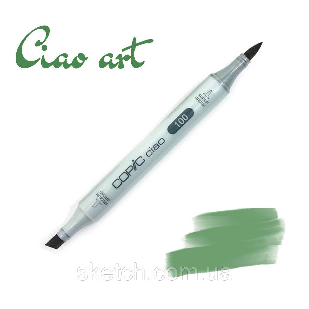 Copic маркер Ciao, #YG-67 Moss