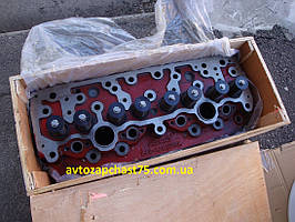 Головка блока циліндрів МТЗ, Д-240, Д-243 з клапанами (виробник Дорожня карта, Харків)