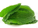 Цукрова паста для шугарингу Depilax Menta (М'ята) 1000г, фото 4