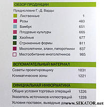 Каталог розсадника Bruns / Брунс 2016 / 2017, фото 3