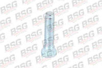 BSG 30-230-015 Шпилька колеса заднего FORD TRANSIT V184