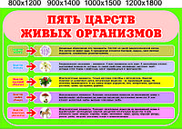 Стенд "Пять царств живых организмов"