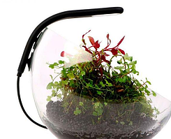 Світильники акваріумні