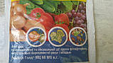 Ридоміл Голд МЦ 68 ВГ 50г/10л/2сот Фунгіцид профілактичної та лікувальної дії, Сингента, фото 3