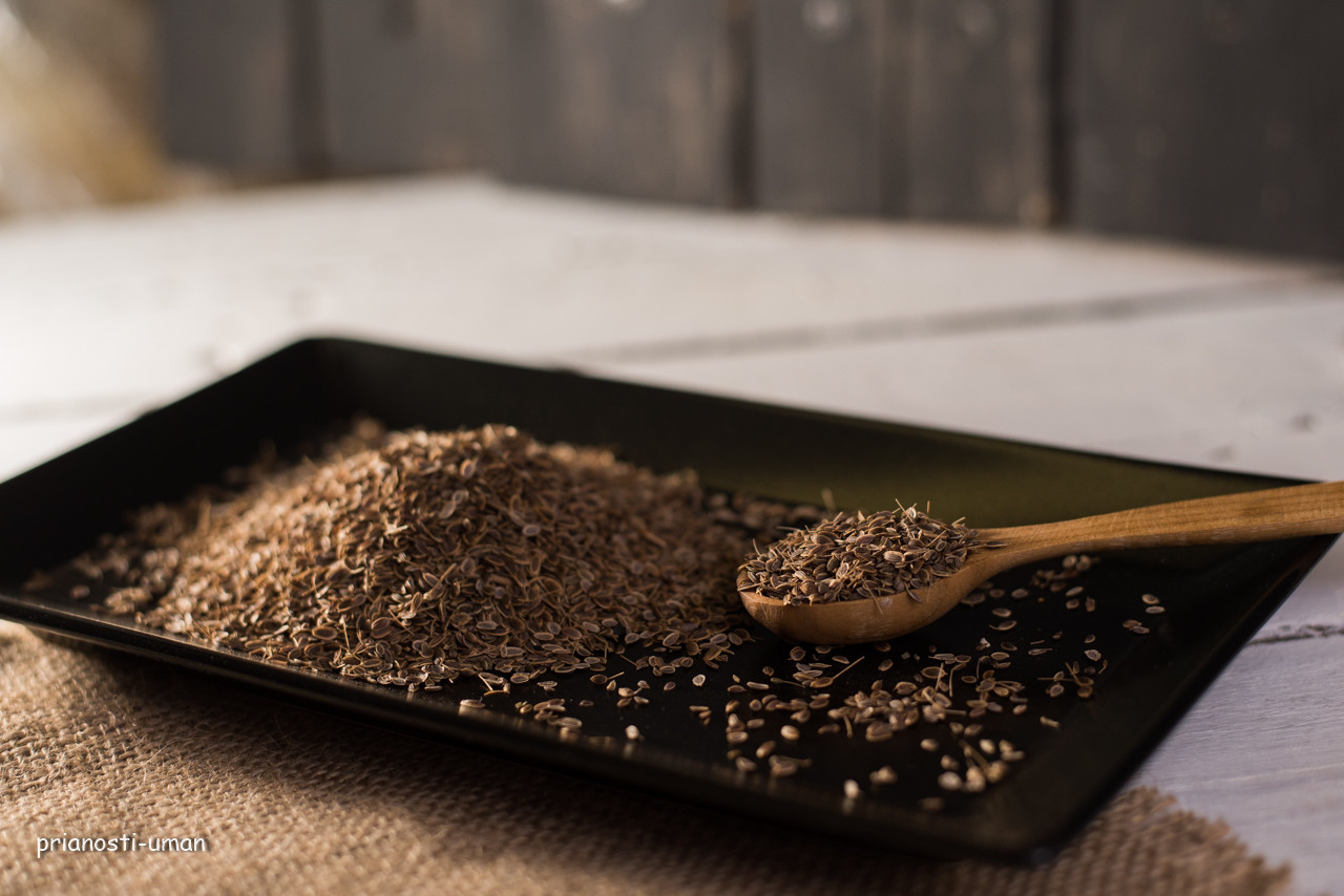 Кріп насіння Вищий сорт, фото 1