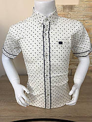 Дет. руб. з коротким рукавом 